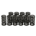 Rear Compression Springs (Part #: M13967)